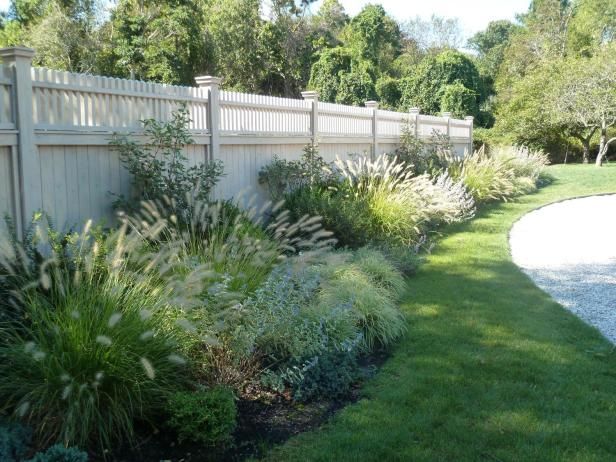 13 Best Ornamental Grasses