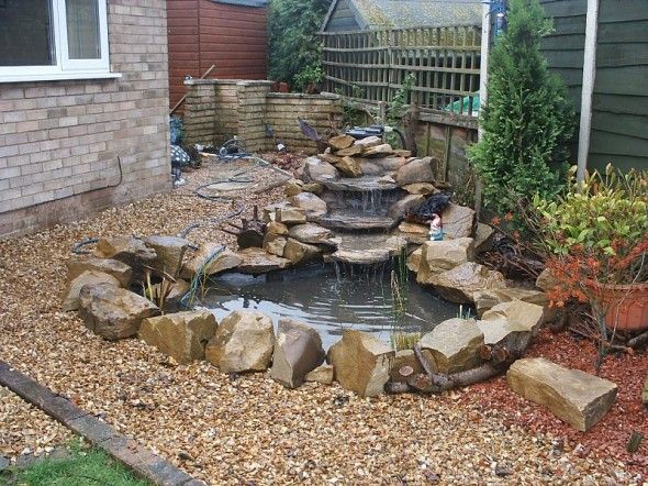 Backyard Ponds: A Do-It-Yourself Guide